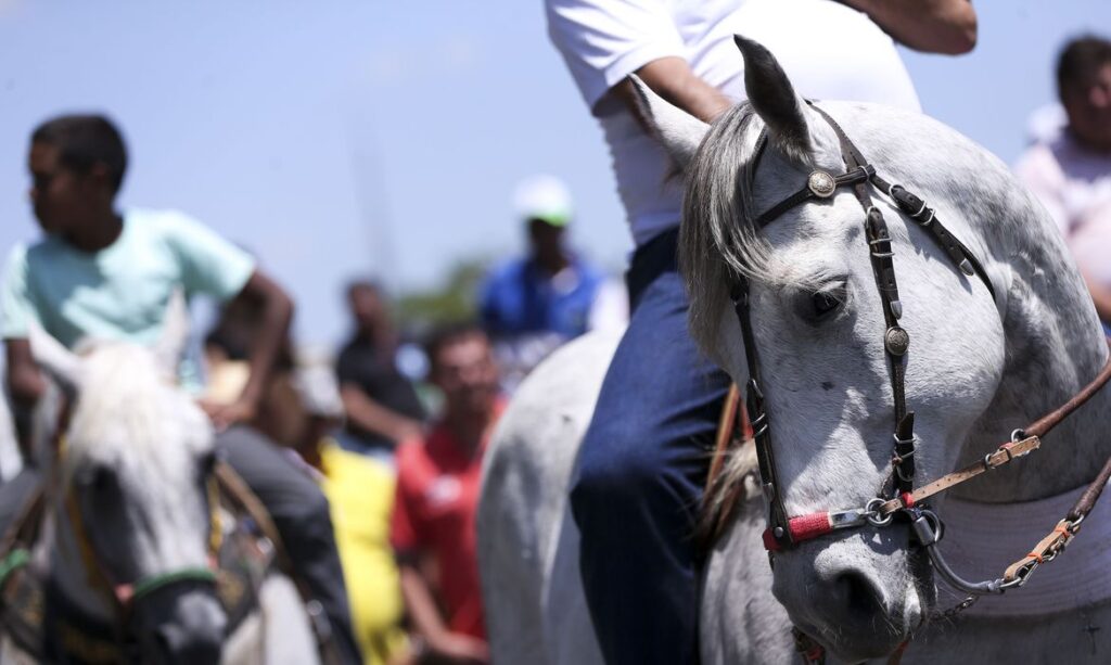 Festa-do-Vaqueiro-de-Porto-da-Folha-se-torna-oficialmente-Patrimônio-Cultural-Imaterial-de-Sergipe