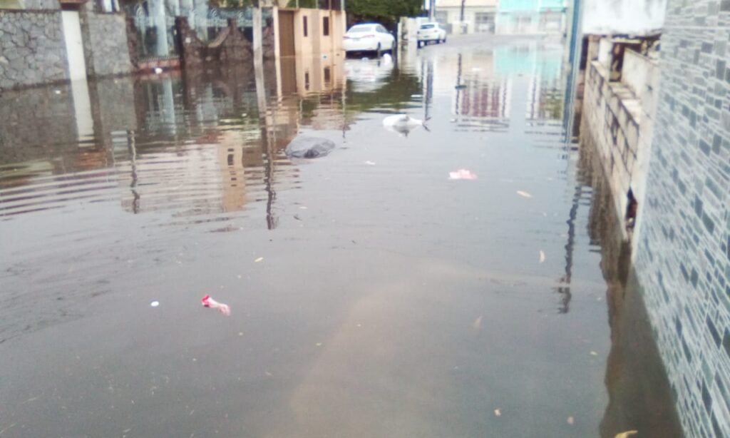 Telhado de casa desaba no Porto Dantas Defesa Civil alerta para fortes chuvas