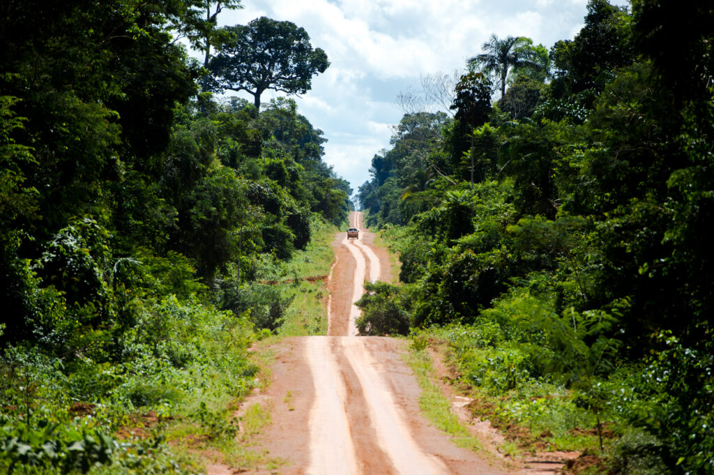 Amazônia-enfrenta-‘risco-de-mudar-de-floresta-tropical-para-savana’-diz-relatório da ONU