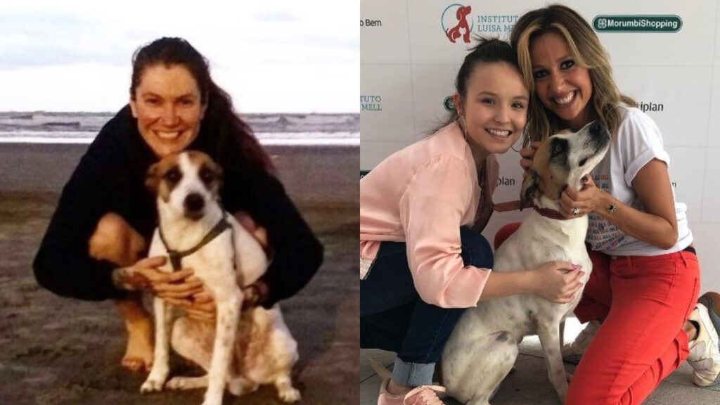 Larissa Manoela doa vira lata que adotou de Luisa Mell