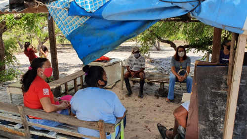 ‘Cultura da mangaba pode estar em risco diz Sindicato