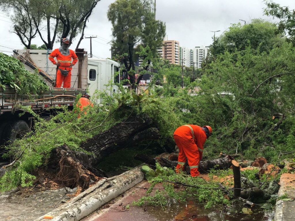 Arvore cai e tres ocorrencias de alagamento sao registradas apos fortes chuvas em Aracaju