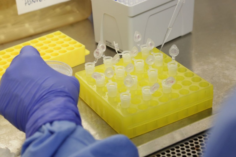 OMS discute com cientistas hipotese de que o coronavirus tenha vazado de laboratorio chines