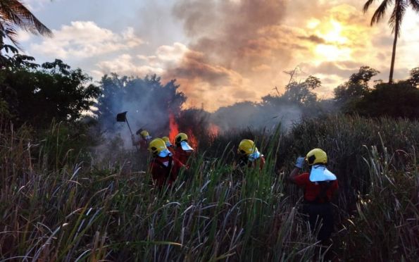 Incendio de grande proporcao atinge vegetacao na Grande Aracaju