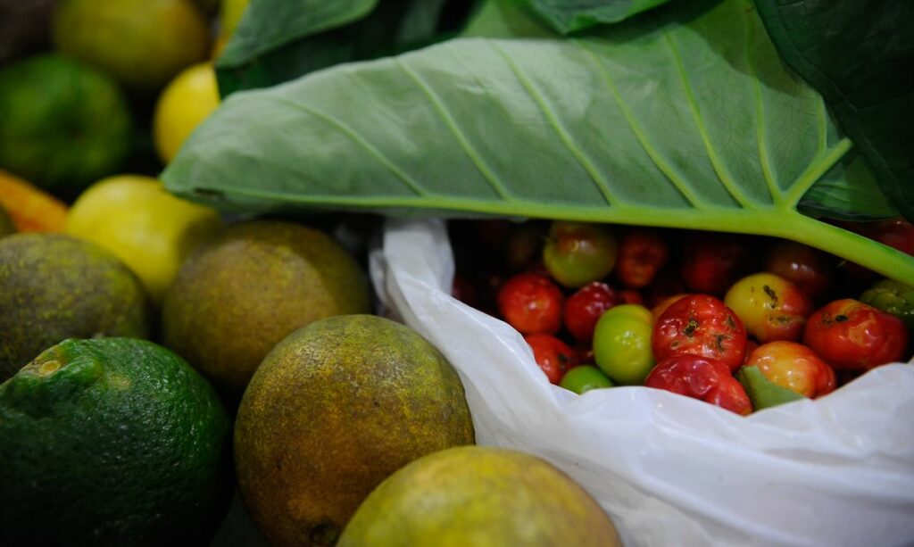 ONU 931 milhoes de toneladas de alimentos foram para o lixo em 2019