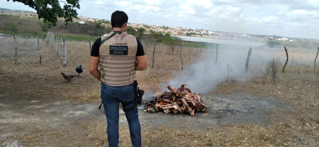 Policia localiza abatedouro clandestino que fornecia carne ao comercio local em Cedro de Sao Joao