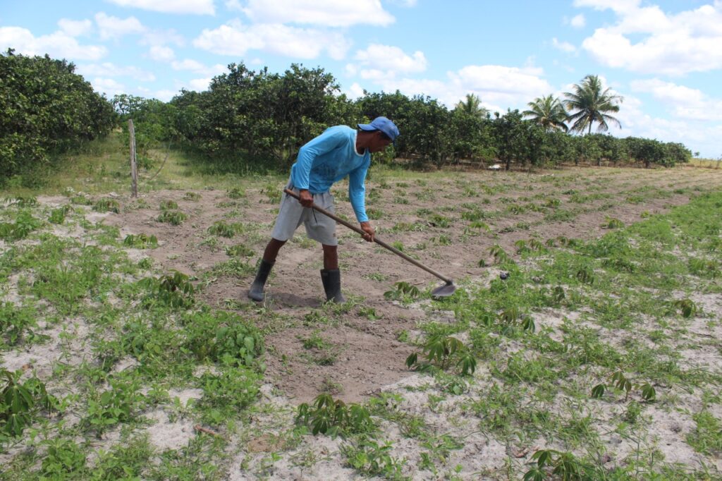 Agricultores de cinco municipios sergipanos recebem R 54 milhoes do Programa Garantia Safra