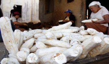 Alese aprova PL que reconhece Casas de Farinha como Patrimonio Cultural de Sergipe