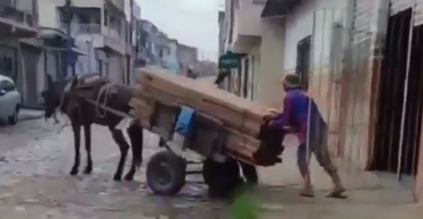 Apos imagens mostrarem cavalo transportando peso excessivo policia registra ocorrencia contra carroceiro em Lagarto