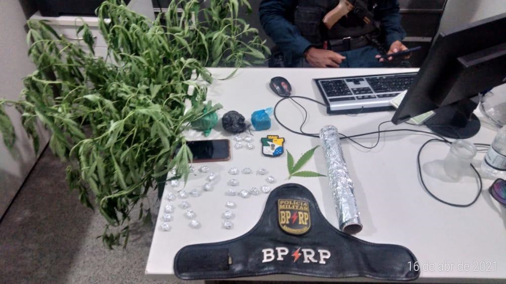 Casal e preso por trafico de drogas em Nossa Senhora do Socorro Policia apreende pe de maconha