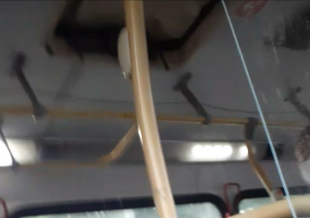 Leitor flagra onibus do transporte coletivo com infiltracoes em Socorro veja video