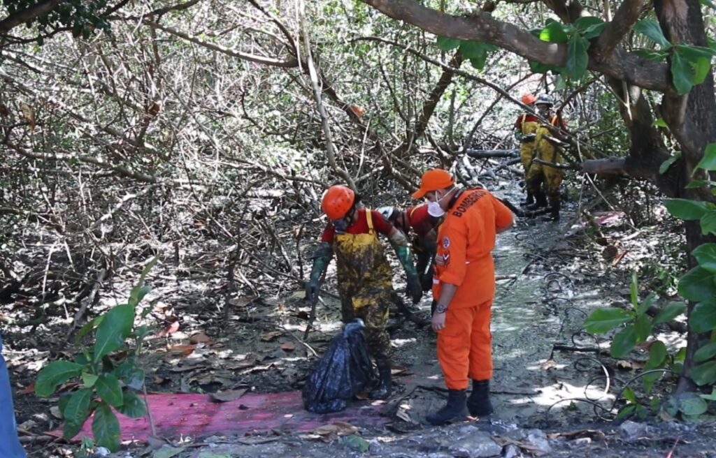 Apos acidente aereo Adema inicia recuperacao da area do mangue atingida por aviao