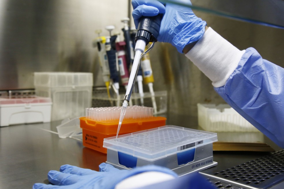 Aracaju registra 402 novos casos de coronavirus e dez mortes neste sabado 1o