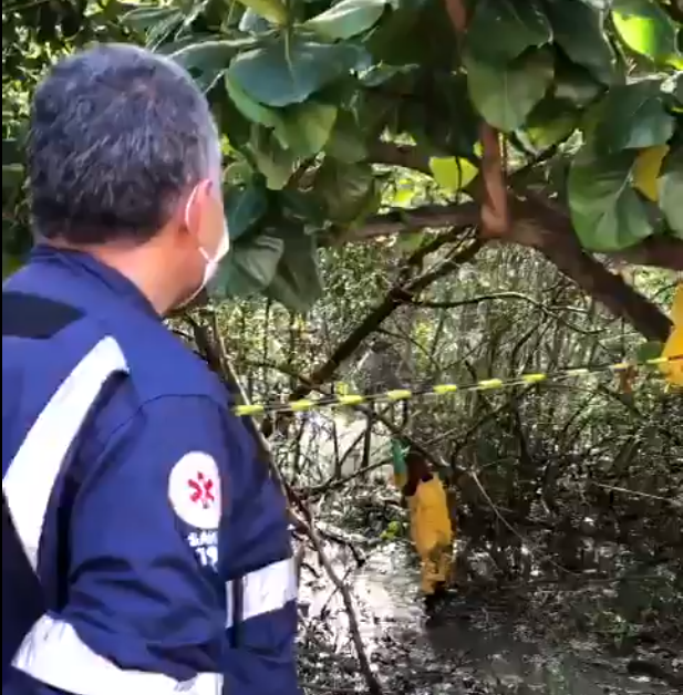 Bombeiros localizam parte de cabine e bancos da aeronave equipes tentam resgatar corpo do piloto