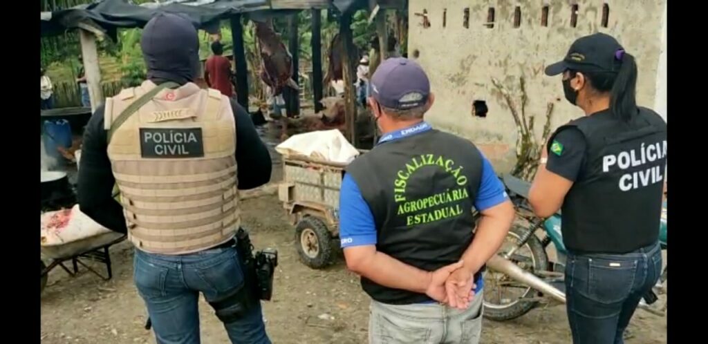 Policia e Emdagro flagram abatedouro clandestino e apreendem quase 900kg de carne irregular em Umbauba