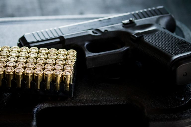 Projeto atualiza taxas para registro renovacao e porte de armas de fogo