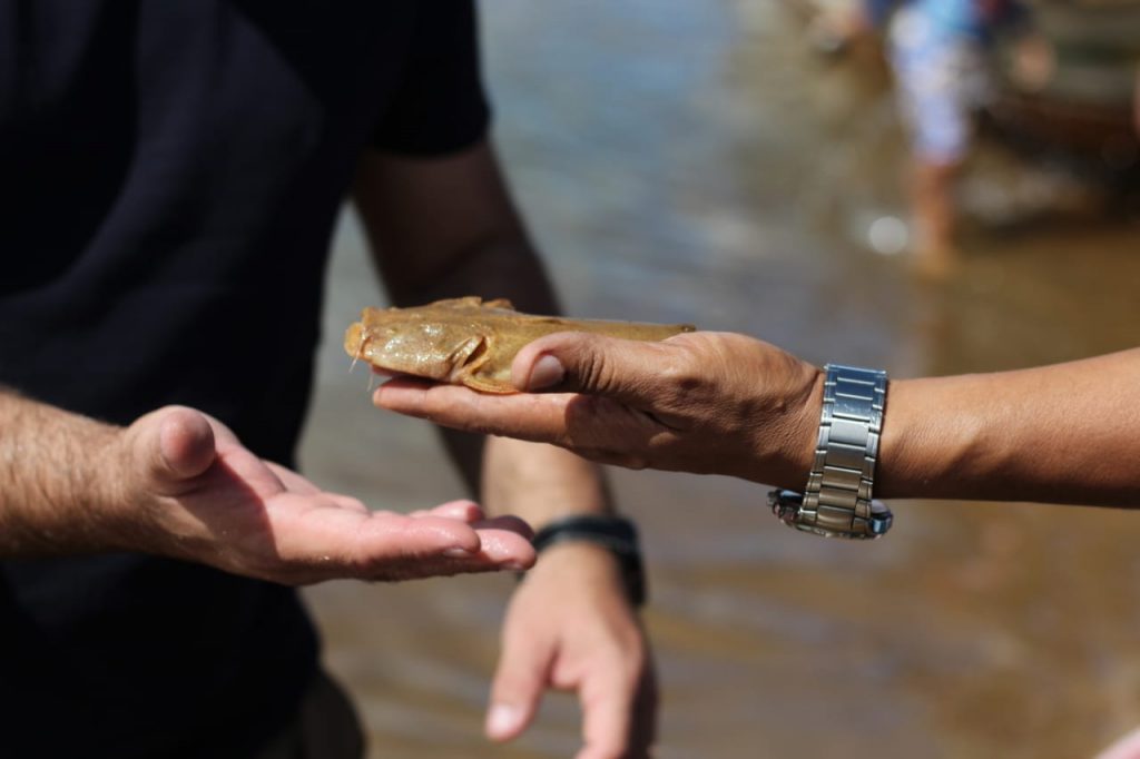 Codevasf entrega peixamento em Nossa Senhora de Lourdes para celebrar Dia do Pescador