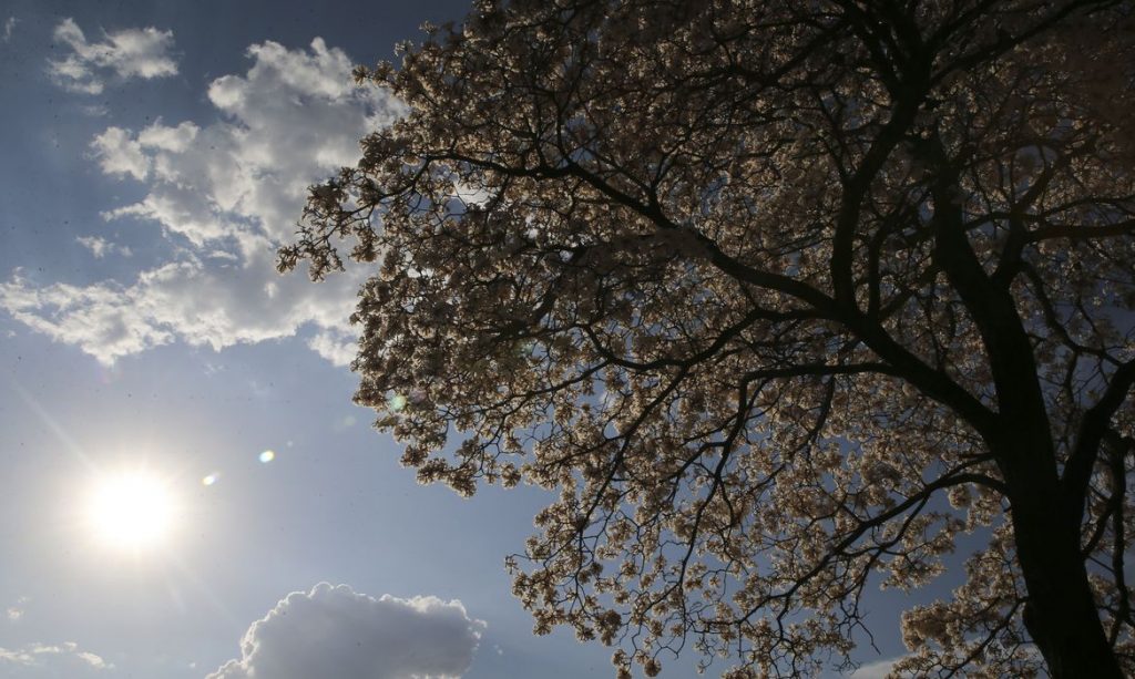 Onda de calor deixa ao menos 233 mortos no Canada temperatura chegou a 495°C