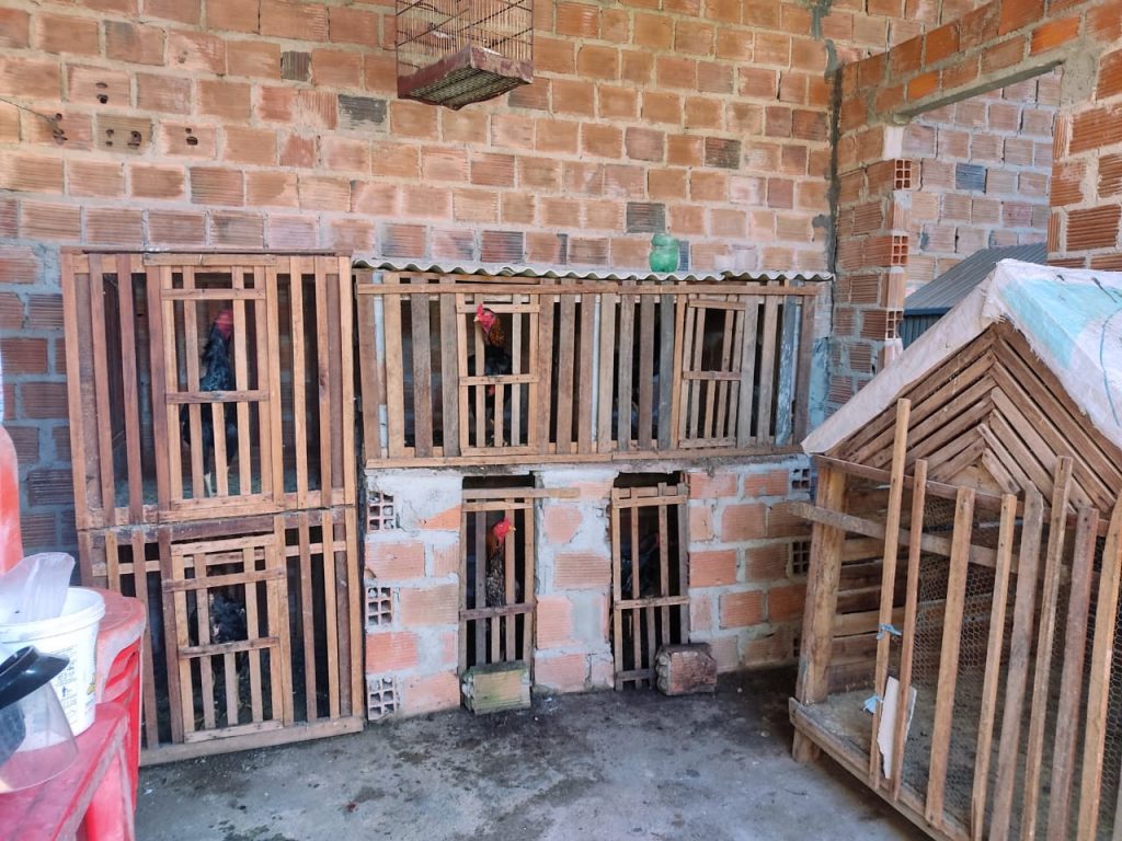 PC prende homem por trafico e envolvimento com jogos de azar em Itabaiana