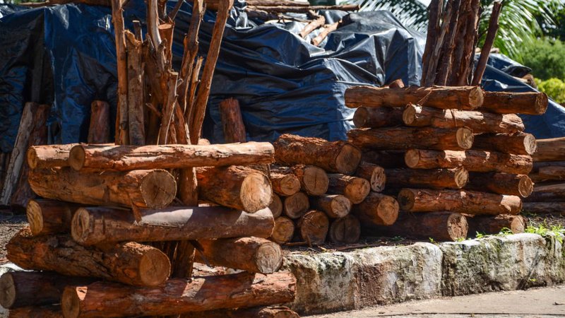 Socorro e Frei Paulo proibem queima de fogos de artificio e fogueiras durante periodo junino