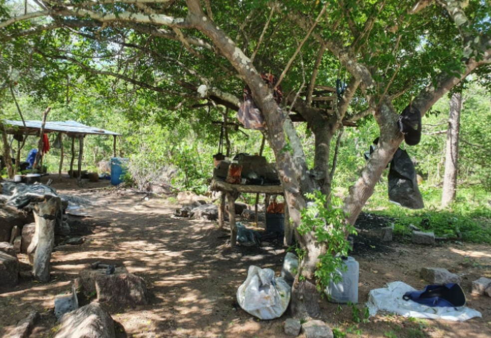 Trabalhadores submetidos a condicoes analogas a escravidao sao resgatados em Caninde