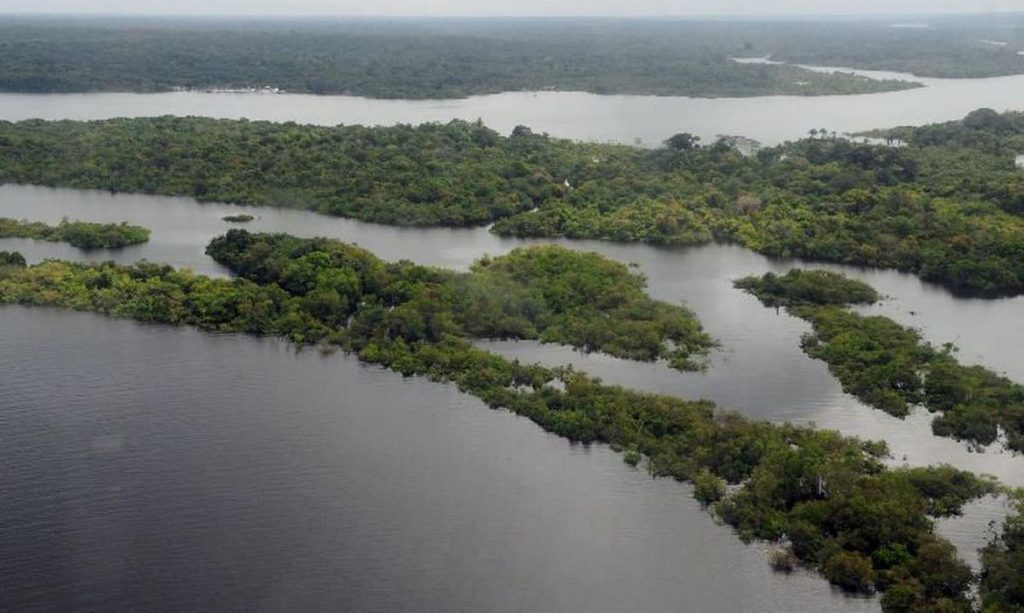 Desmatamento na Amazonia cresce 51 nos ultimos 11 meses aponta levantamento