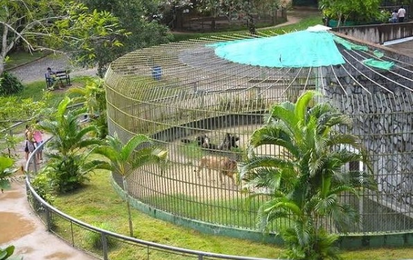Visitacao ao zoologico do Parque da Cidade retoma a partir de 10 de julho em Aracaju