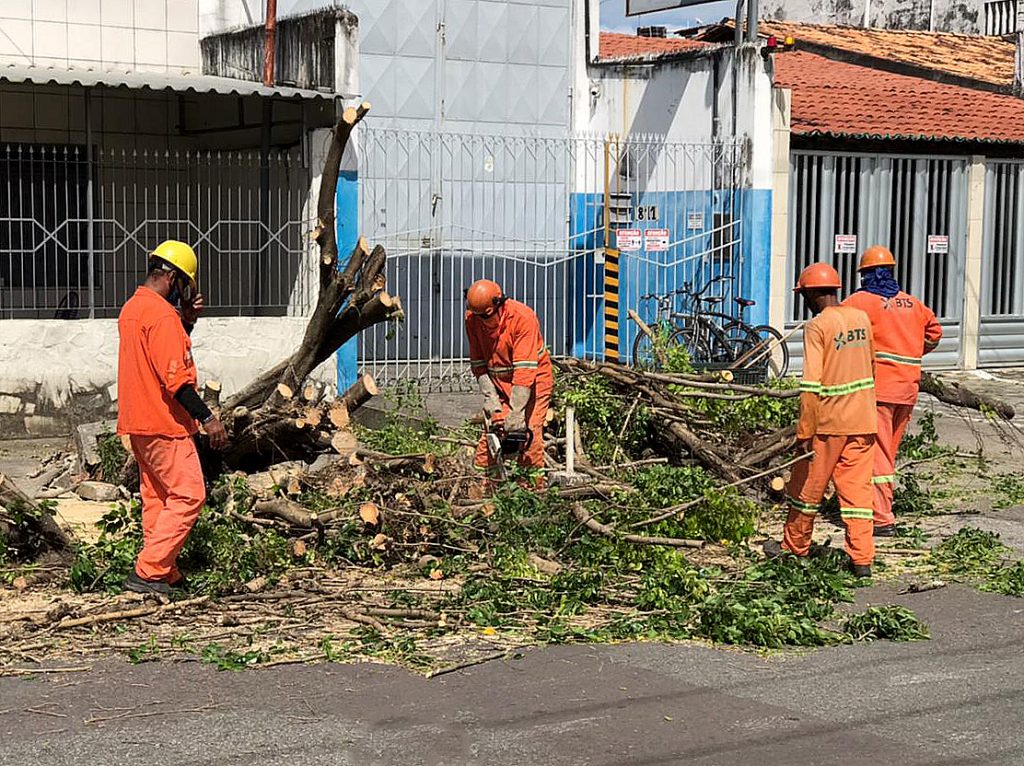 Aracaju registra desabamento de telhado e queda de quatro arvores devido as chuvas no fim de semana ventos ultrapassaram 50kmh
