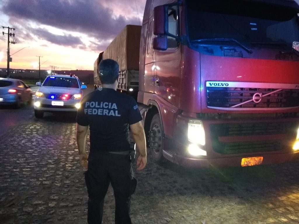 Policia Federal apreende quase seis toneladas de maconha em Japaratuba 1