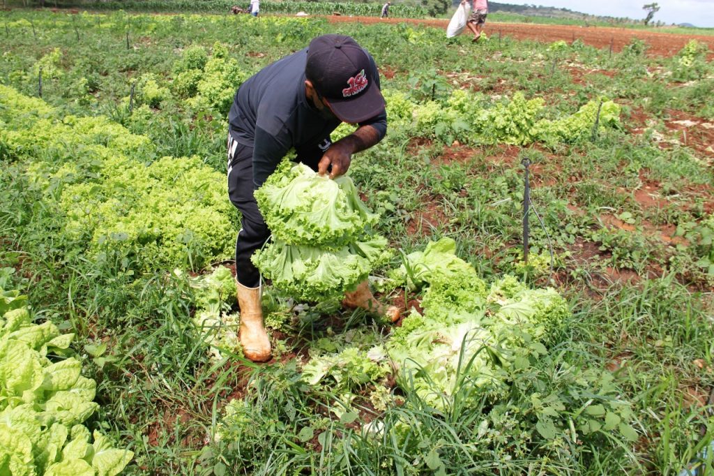 Bosco Costa apela para que bancada do Nordeste derrube veto que extinguiu renegociacao de dividas dos agricultores