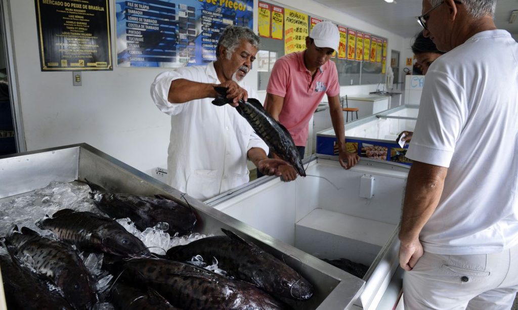 Doenca urina preta pode estar relacionada a consumo de frutos do mar