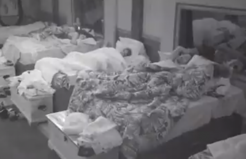 Em A Fazenda Nego do Borel e acusado de forcar sexo com Dayane