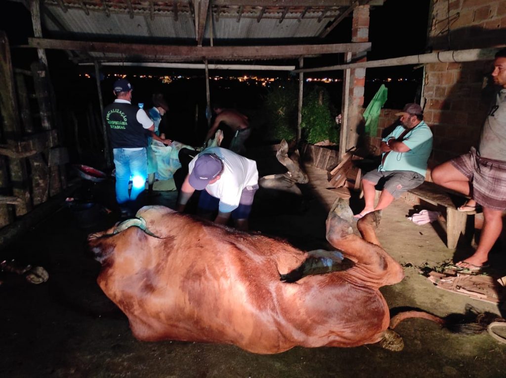 Policia fecha abatedouro clandestino e homem e preso em Nossa Senhora das Dores