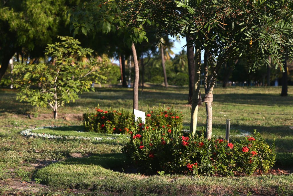 Sergipe registra alerta de seca com temperaturas acima da media no inicio da primavera