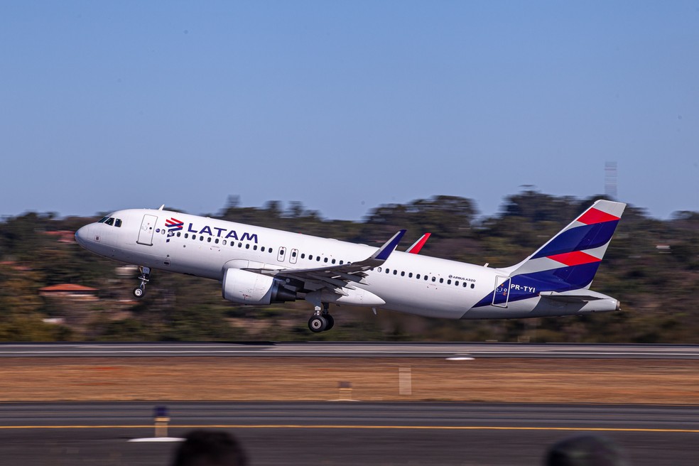 Latam suspende por 30 dias transporte de pets no porao de avioes apos morte de cachorro