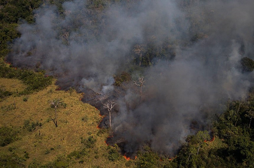 Em meio a COP26 Senado analisa projeto que adapta legislacao ao Acordo de Paris