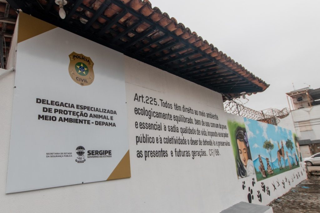 Policia investiga morte de gatos com golpes de facas e garfos na Coroa do Meio