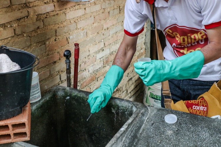 Sergipe registra aumento de casos de Zika e Chikungunya revela boletim