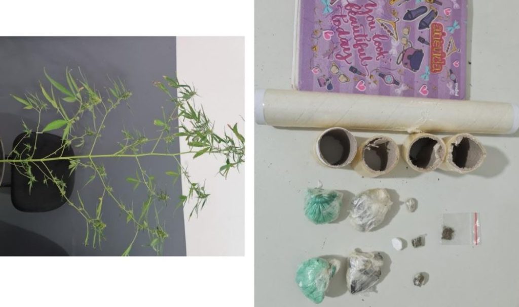 Suspeito de trafico de drogas e preso em flagrante em Propria
