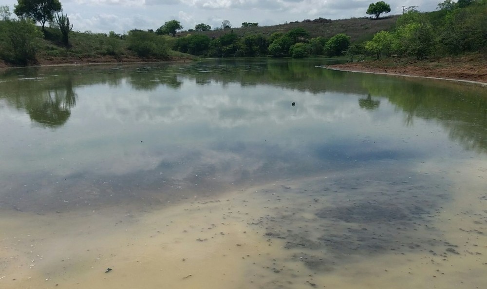 Adema fiscaliza mortandade de peixes em barragem em Gloria