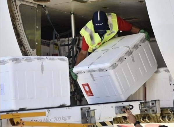 Covid 19 Sergipe recebe mais 67 mil doses de vacinas ate esta quarta 29