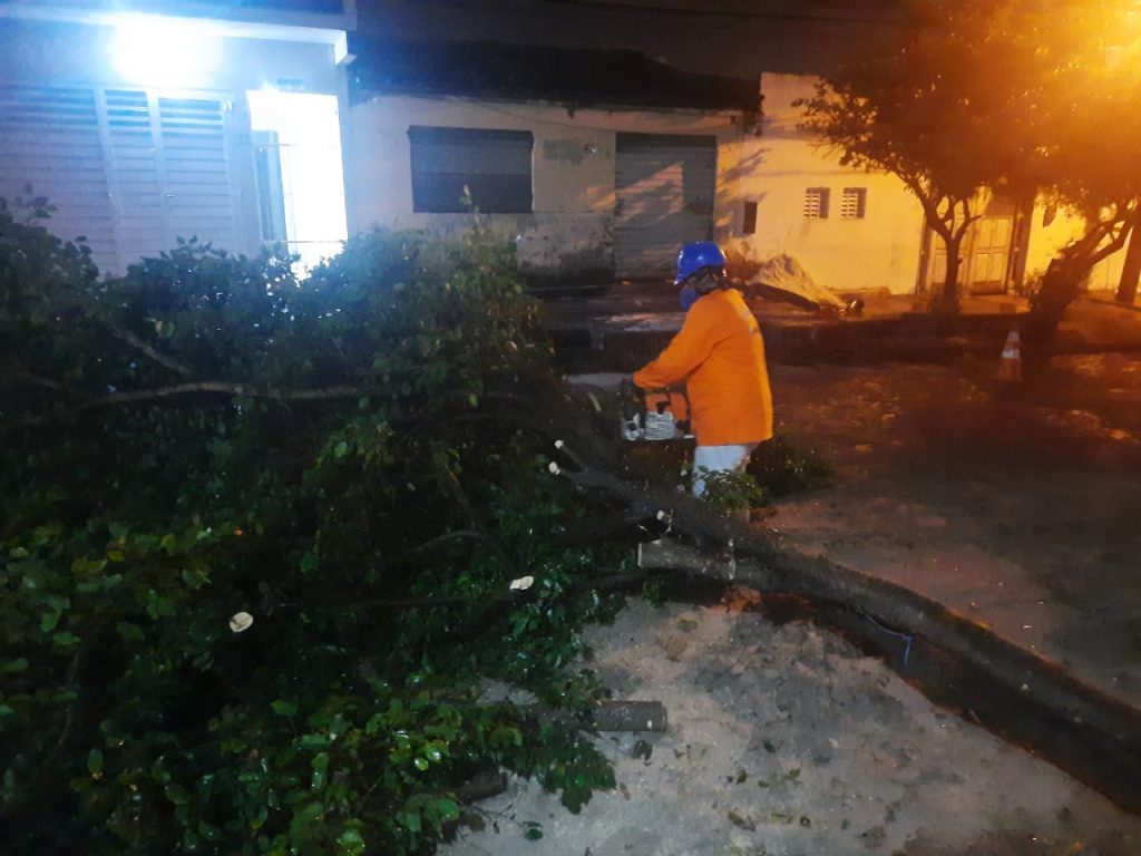 Defesa Civil de Aracaju registra duas ocorrencias por conta da chuva e ventos fortes