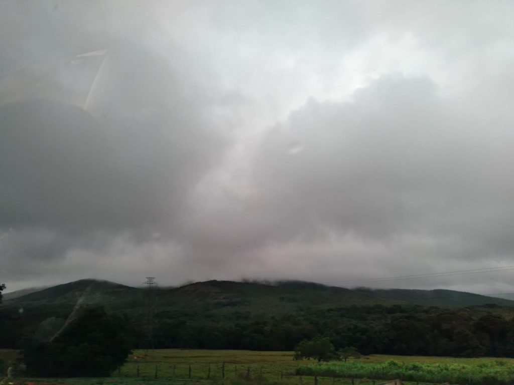 Poco Verde e Umbauba