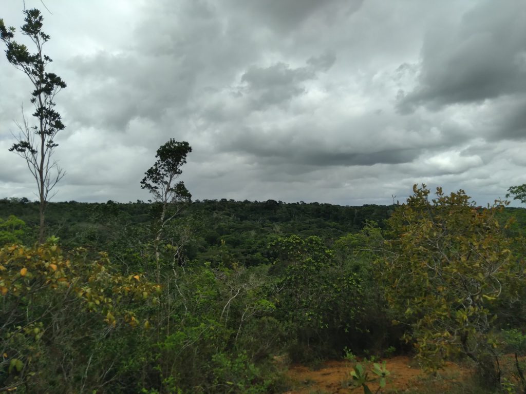 Altas temperaturas seguem ate quinta 13 com ocorrencia de chuvas leves em Sergipe