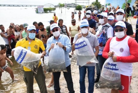 Codevasf realiza peixamento no Rio Sao Francisco em Propria