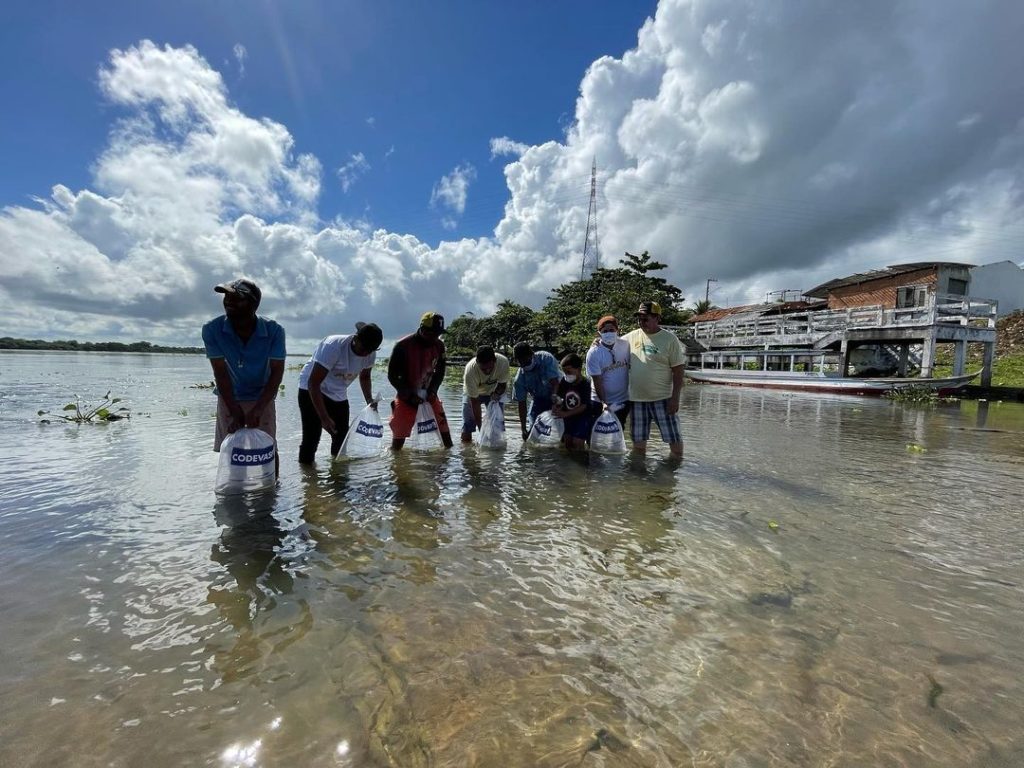 Codevasf realiza repovoamento de peixes em Santana do Sao Francisco