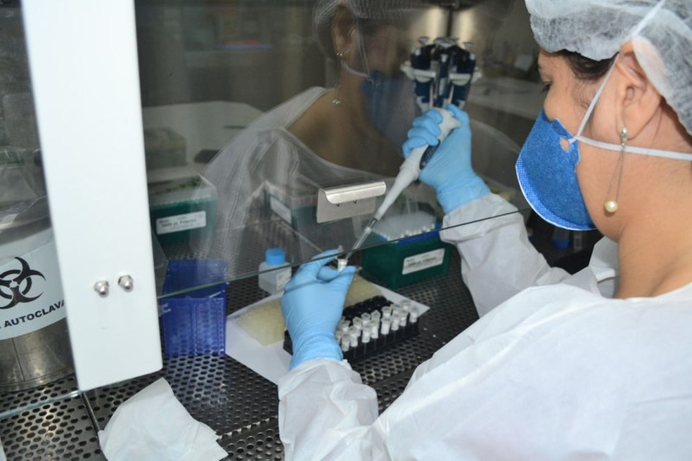 Covid 19 Sergipe chega ao numero de 6000 mortes desde o inicio da pandemia 1