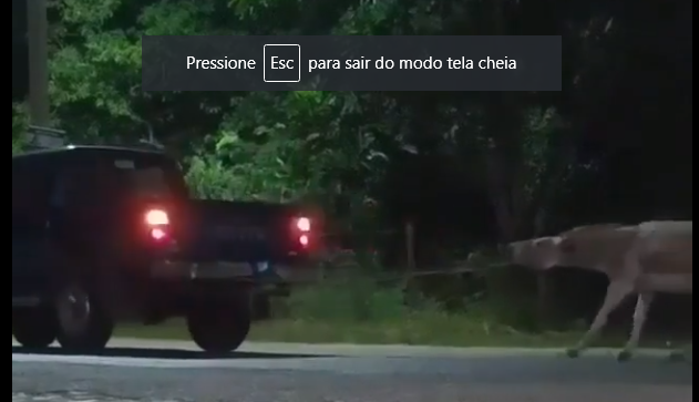 Motorista e flagrado arrastando jumento pelo pescoco em Itaporanga veja