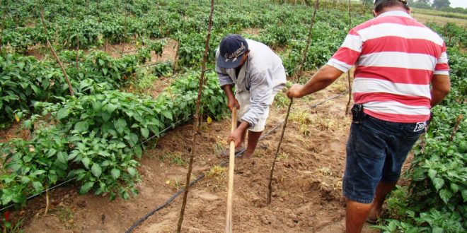 Sergipe apresenta maior projecao do PIB do Brasil para 2022