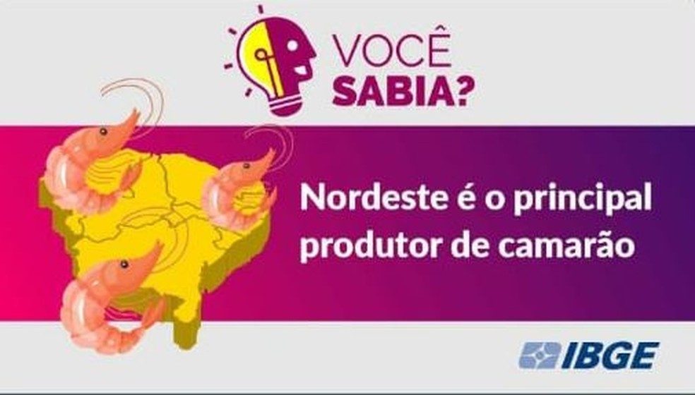 camarao e1641495641319